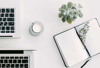 花卉应用，打造个性化与环保的汽车内饰新风尚